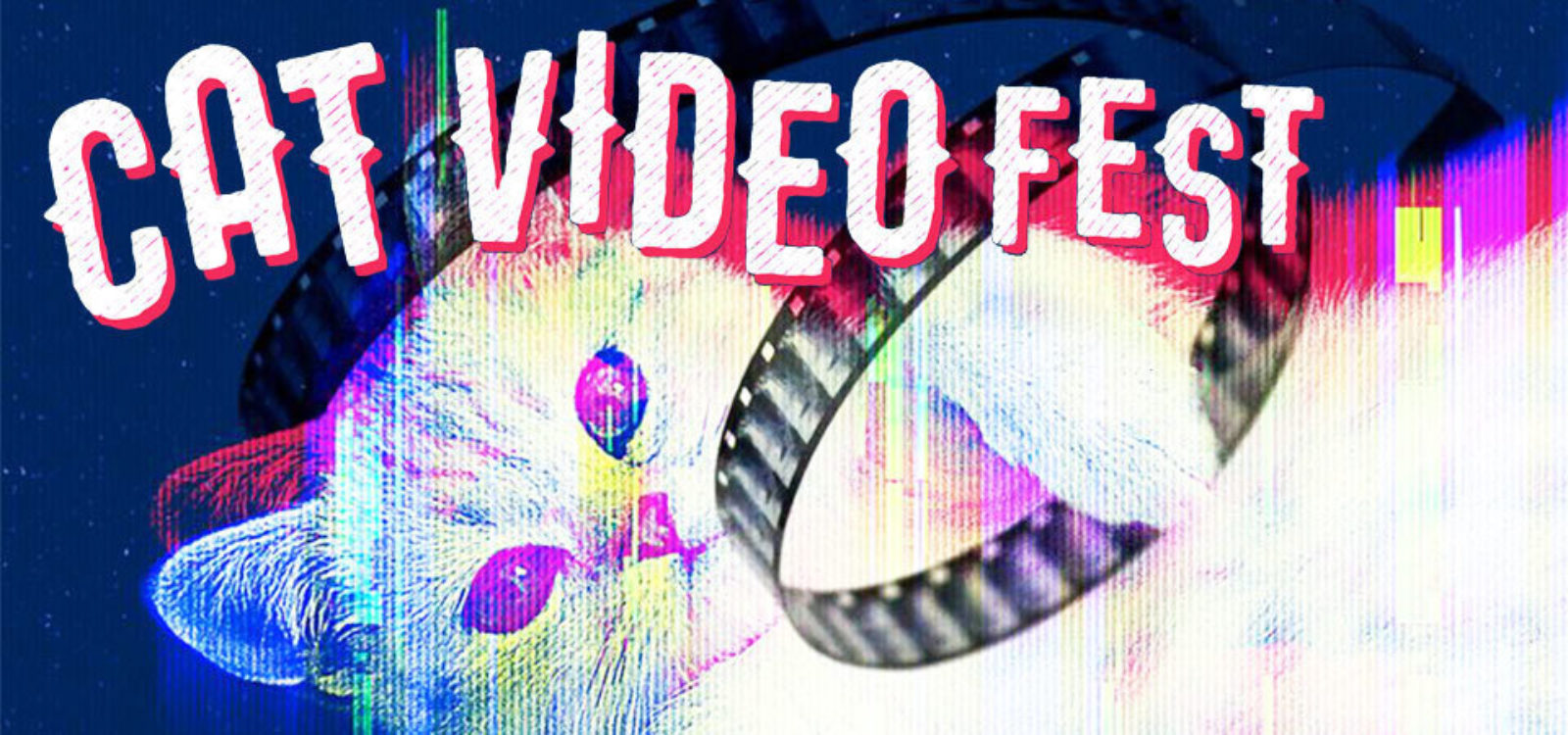 1080 Catvideofest2019 6812 1565250423
