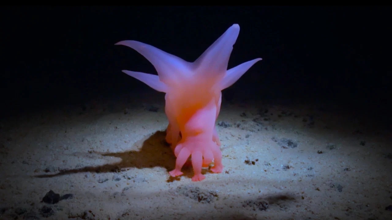 Image for Film & Talk: How Deep Is Your Love
