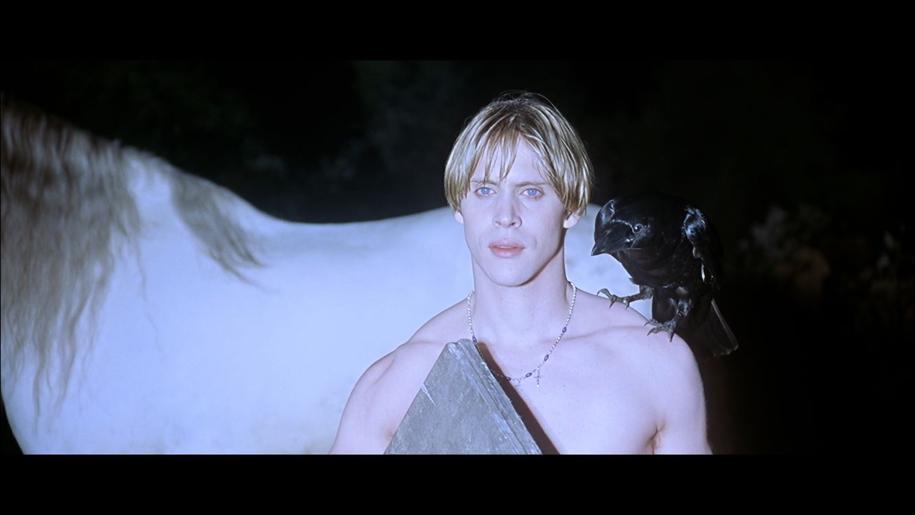 Video for "undefined"