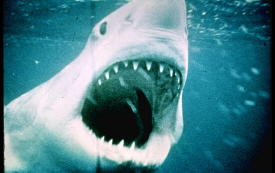 Jaws 50th Anniversary re issue st 1 jpg sd high 2025 Universal Studios All Rights Reserved